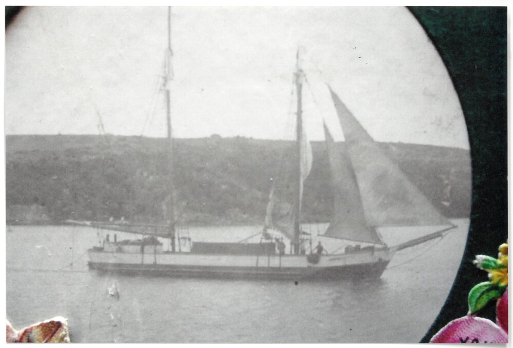 Vessel on the Uretara River, Katikati