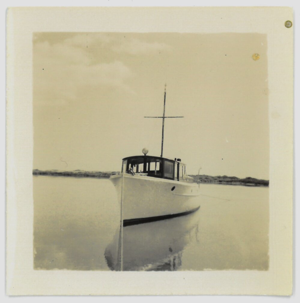 The Royal Saxon from the front