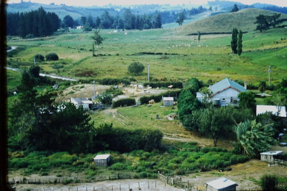 The Bent Farm at Belk Rd, Tauriko