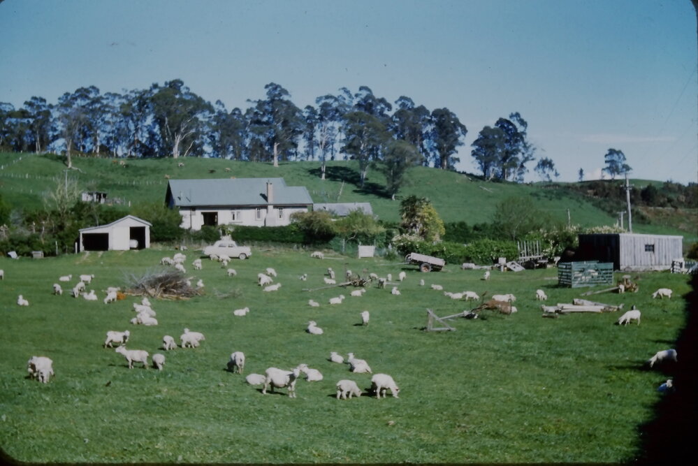 The Bent Farm at Belk Rd, Tauriko
