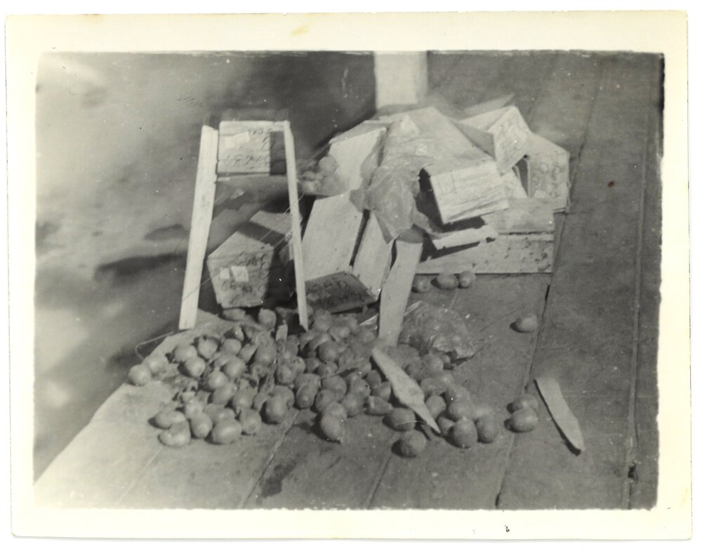 From citrus to kiwifruit