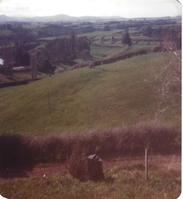 Riverdowns Farm, Wainui South Road