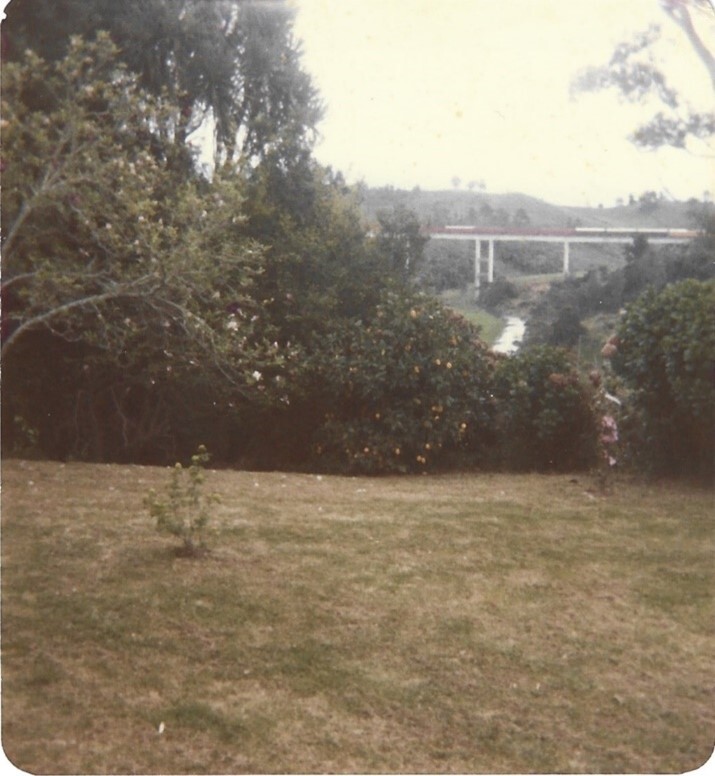 Riverdowns Farm, Wainui South Road