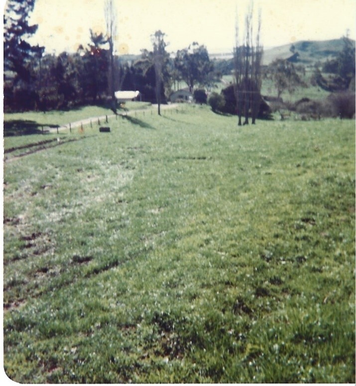 Riverdowns Farm, Wainui South Road