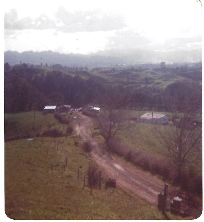 Riverdowns Farm, Wainui South Road