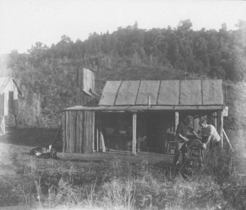 The Watson brothers' house, Pongakawa Valley