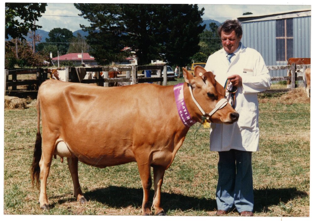Katikati A &amp; P Show 1990