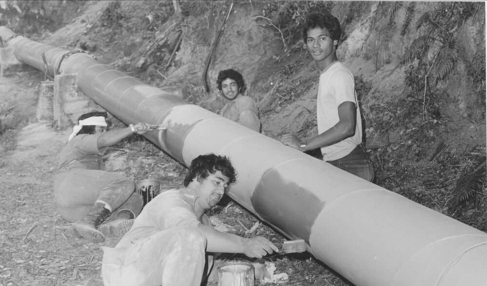 Repairs to No 3 Road pipeline, Te Puke