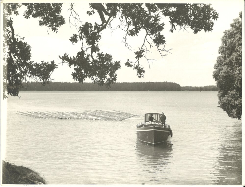 The "Marion Rose" towing logs
