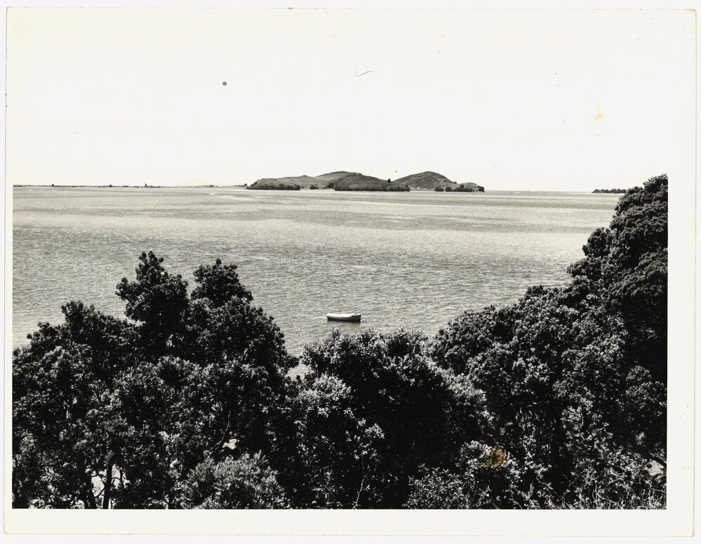 View from Kauri Point