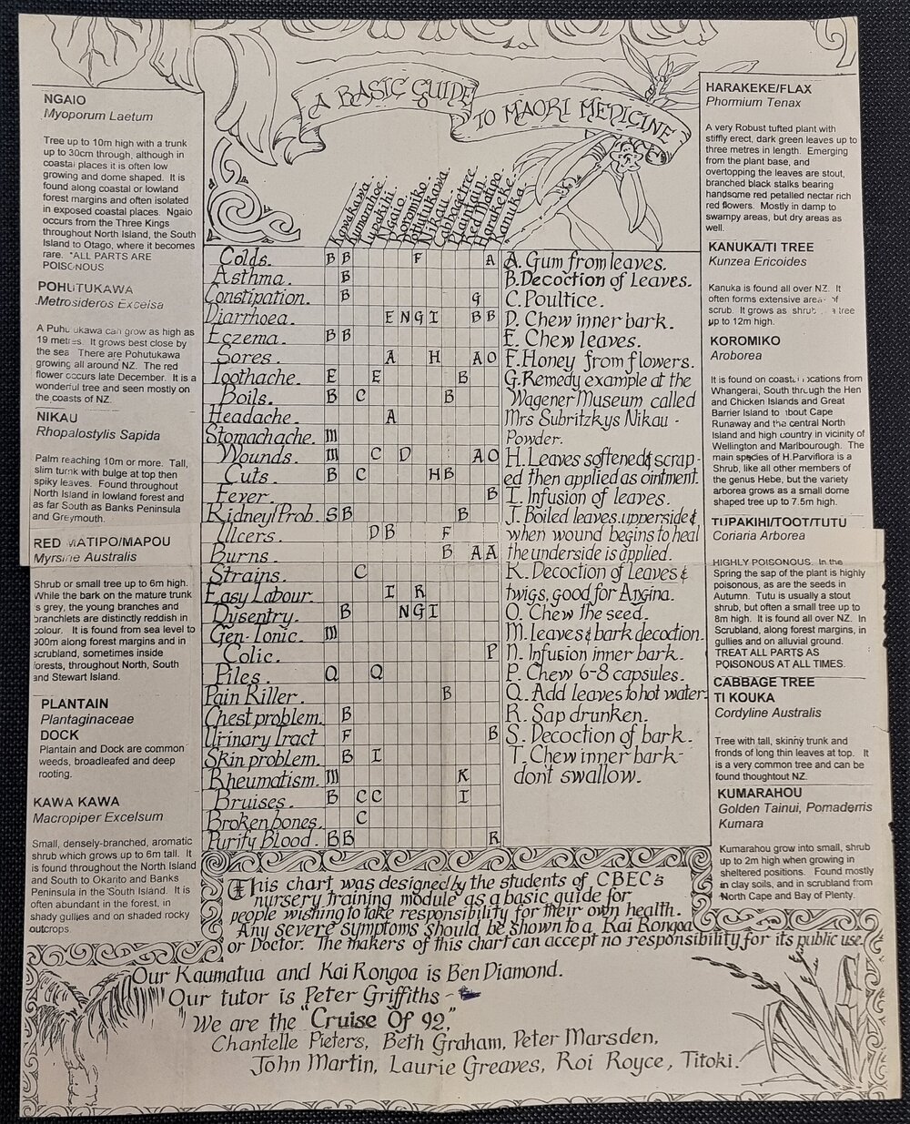 Rongoā information poster