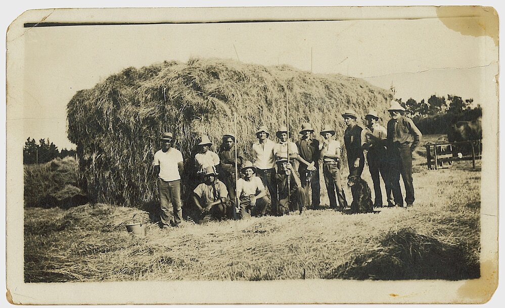 Building a haystack in Rea Road, Katikati