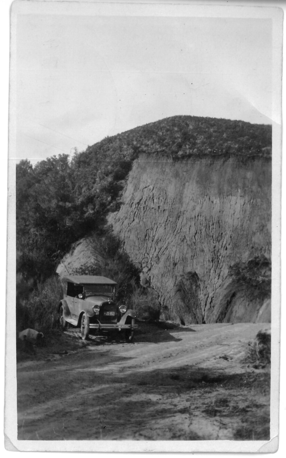 Car waiting near Te Puke