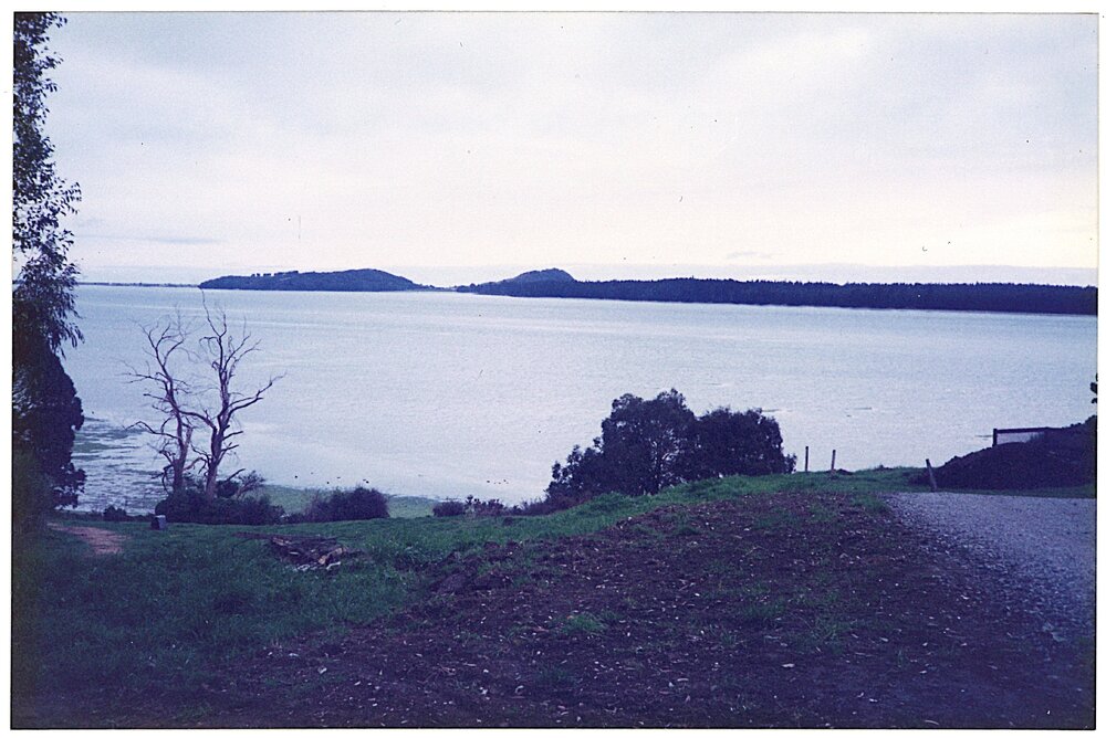 A view from Kauri Point, Tahawai