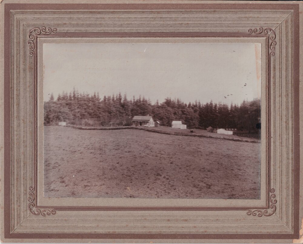 The Blaymires farm at Maniatutu Road, Pongakawa.