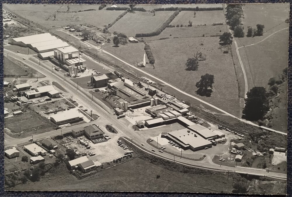The Bay of Plenty Co-operative Dairy Association Ltd. factory at Te Puke