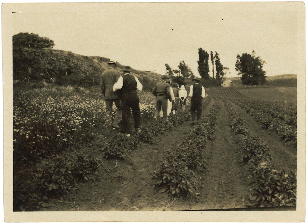 Mt. Stewart (Ongare Point)