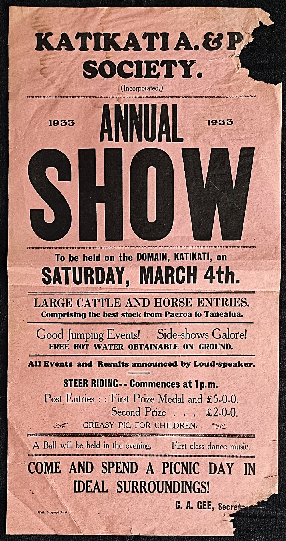 Poster - Katikati Annual Show 1933