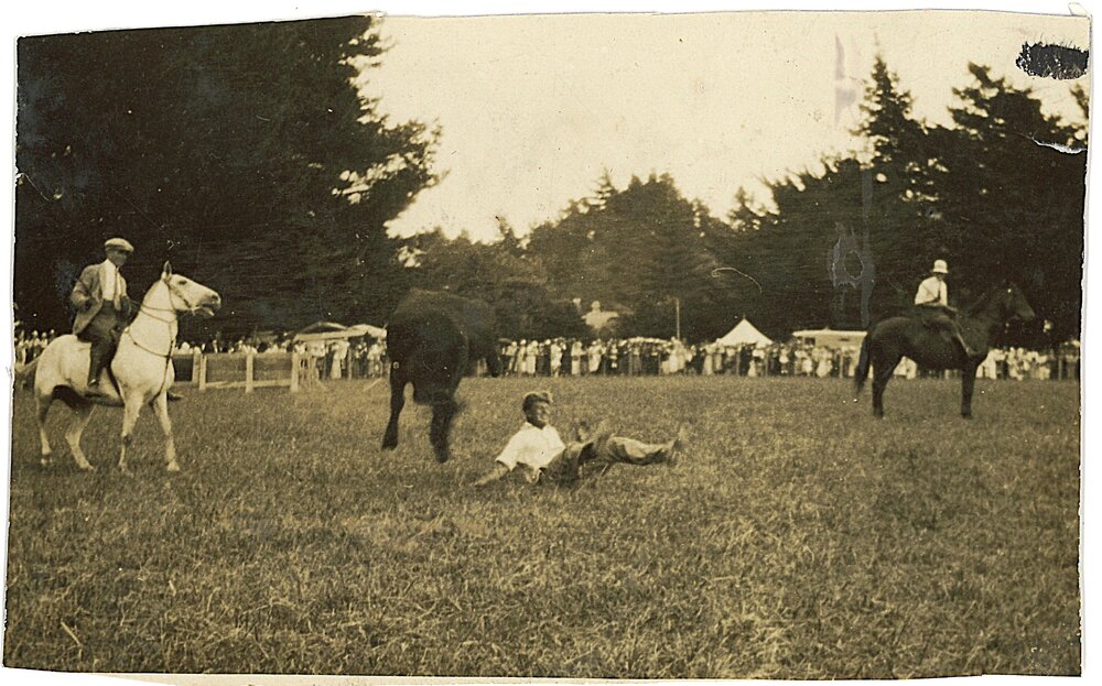 Steer Riding at Katikati A &amp; P Show
