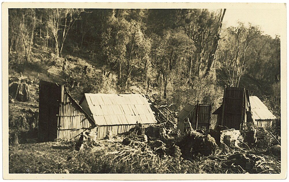 Logging camp in the Kaimai Ranges