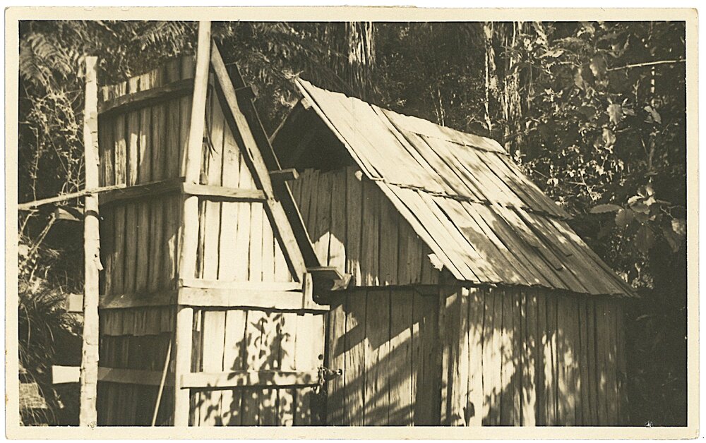 Logger's cabin in the Kaimai Ranges