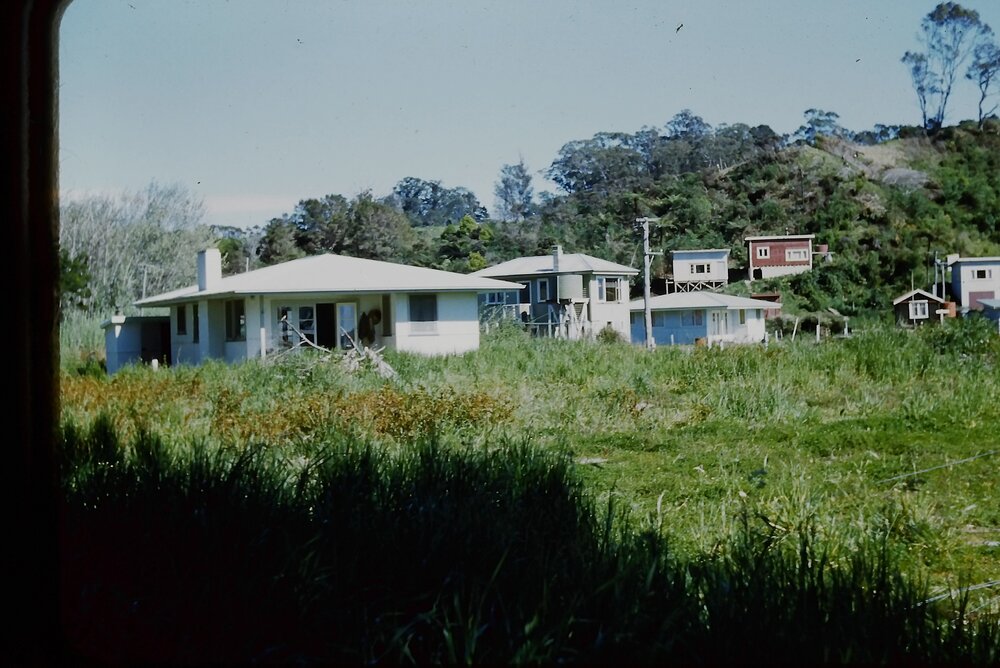Bent family house at Ōmokoroa