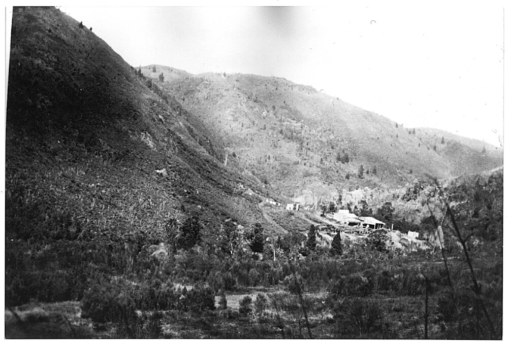 The Kauri Company mill, taken from across the creek