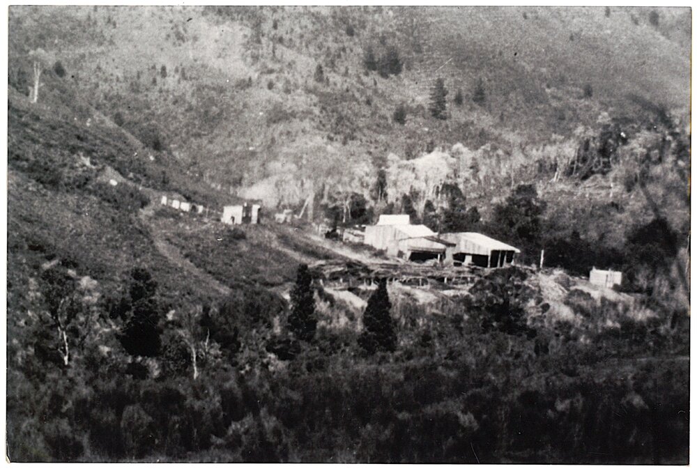The Kauri Company mill (close-up)