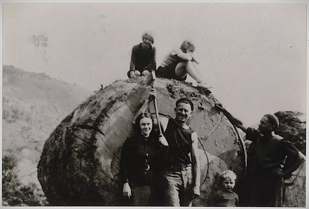 Logs at the mill (close-up)