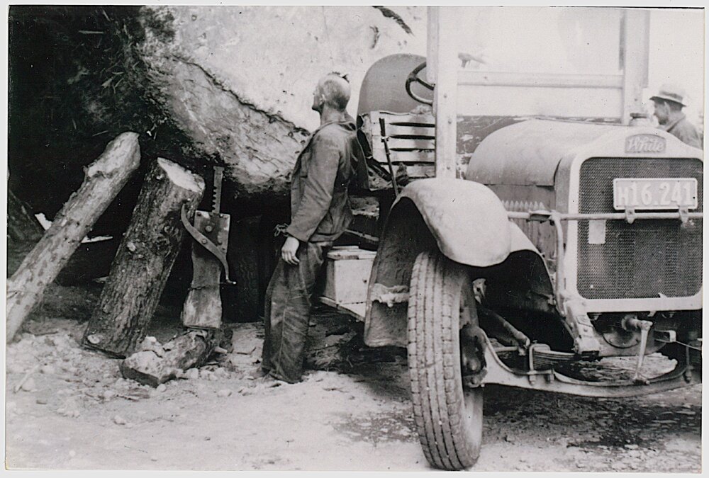 Reloading a kauri log