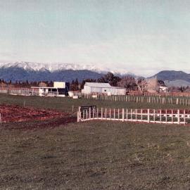 Snow on the Kaimai Ranges, 1989.