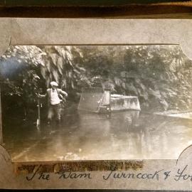 The Dam turncock and ferns