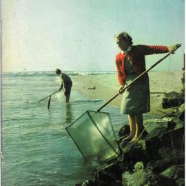 Tauranga Photo News 1965