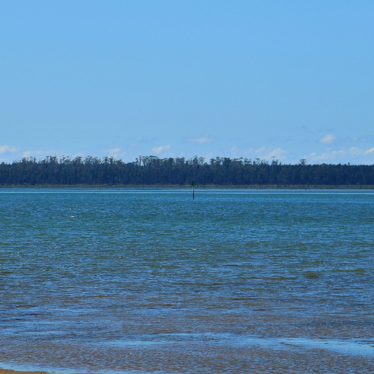 Matakana Island