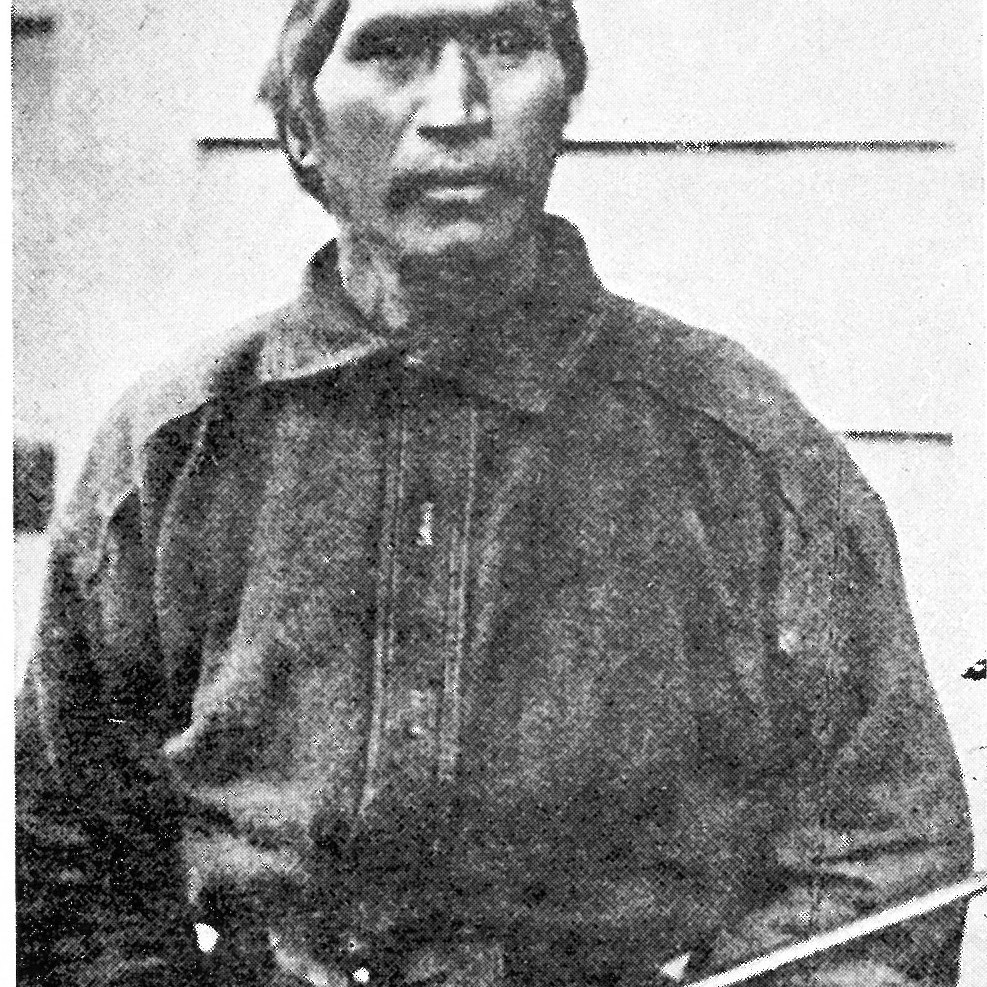 TAMIHANA Wiremu Tarapipipi Te Waharoa