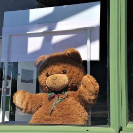 Teddy Bear at Community Resource Centre, Katikati during Covid-19 lockdown