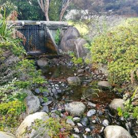 Kauri Dam at Diggelmann Park, Katikati