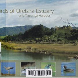 Birds of Uretara Estuary and Tauranga Harbour