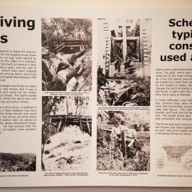 The story of the Kauri dams