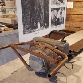Kauri timber saw