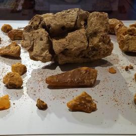 Kauri gum