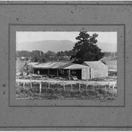 Katikati's first sawmill