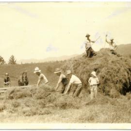 Haymaking at Woodlands Road