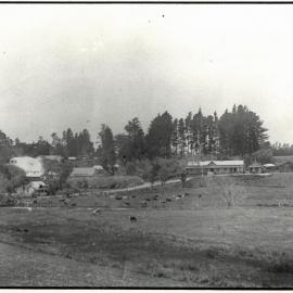 Katikati early settlement