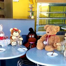 Teddy bear's picnic at Viva Cafe, Katikati