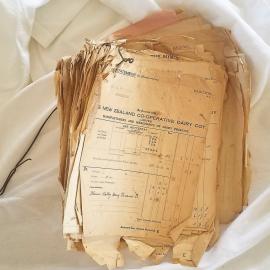 Financial Statements - Dairy