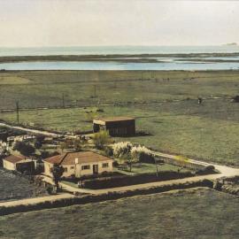 Jack Pittar's farm near Maketu