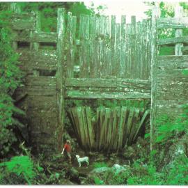 Kauri Dam built c1910