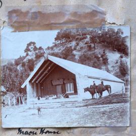 Whare whakairo at Te Aroha