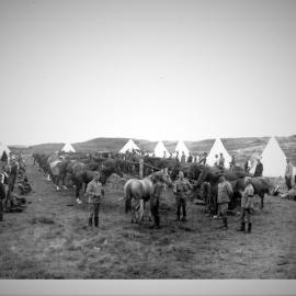 Te Puke Division of the Tauranga Mounted Rifles at camp c1901.
